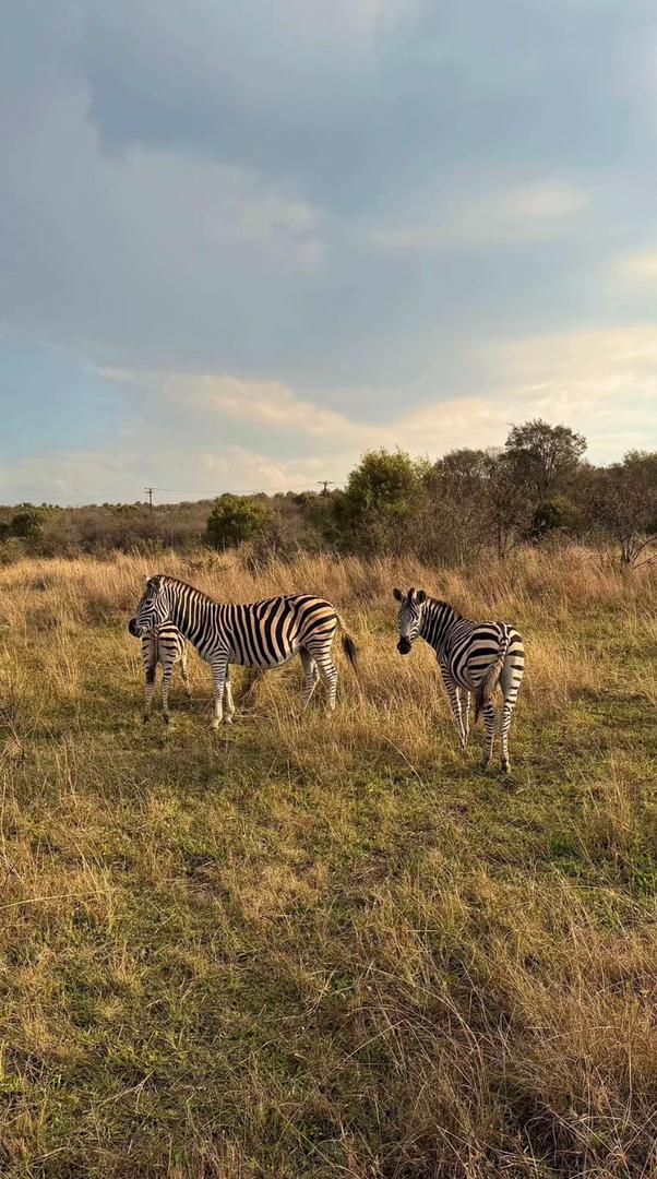 Southern Africa Landscape